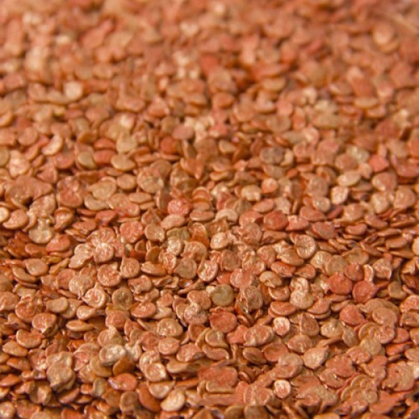 ЛС 13110 F1 насіння перцю солодкого (Lucky Seed)