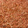 ЛС 13110 F1 насіння перцю солодкого (Lucky Seed)