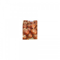 Медуза F1 насіння цибулі ріпчастої жовтої (Takii Seeds)