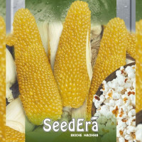 Пинг Понг семена кукурузы попкорн (Seedera)