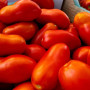 Рочча F1 насіння томата детермінантного (Cora Seeds)