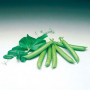 Сомервуд семян гороха (Syngenta)