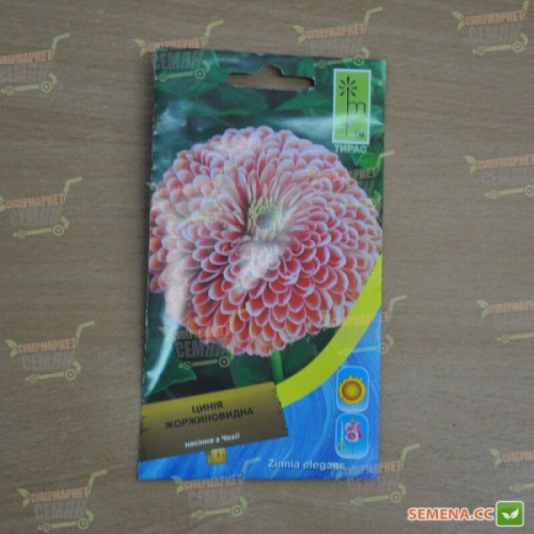 Майори жоржиновидні рожеві (pink) насіння (Moravoseed)