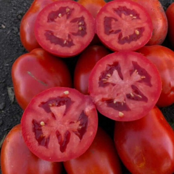 9985 F1 насіння томата дететерминантного (Lark Seeds)
