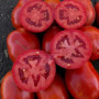 9985 F1 насіння томата дететерминантного (Lark Seeds)