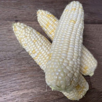 Айрон F1 (ESW32 F1) семена кукурузы суперсладкой Sh2 белой (Lark Seeds)