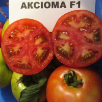 Аксіома F1 насіння помідора індет. раннього 50-55 дн. окр. 180-250 гр. червоний (Nunhems)