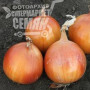 Альбатрос F1 насіння цибулі ріпчастої озимої (LibraSeeds)