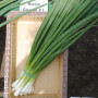 Байа Верде (Baja Verde) семена лука на перо ультрараннего 40 дн. (Seminis)