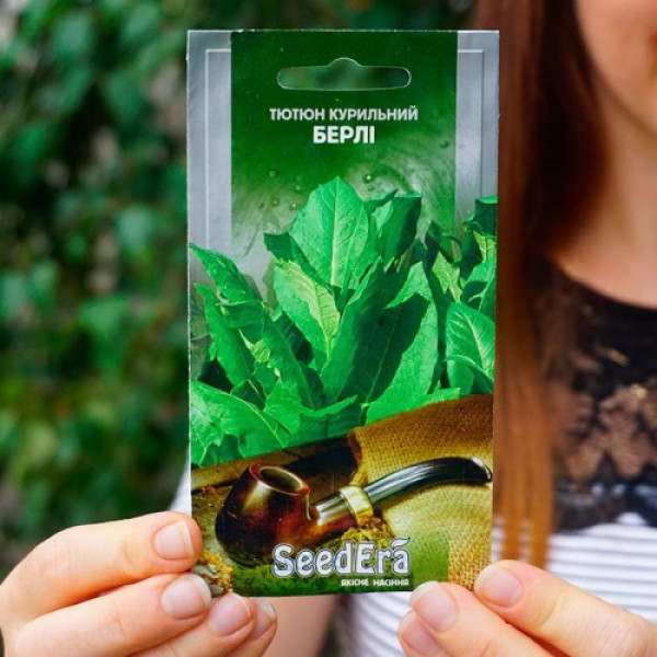 Берлі насіння тютюну курильного (Seedera)