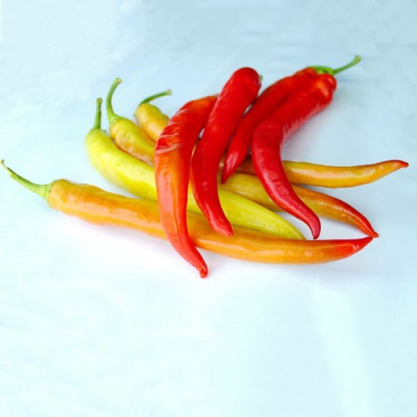 ЄС 8716 F1 насіння перцю гіркого (Ergon seeds)