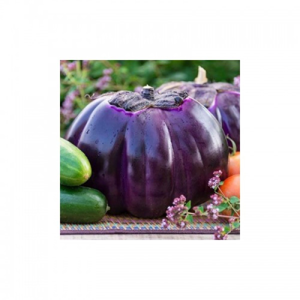Флоренция семян баклажана раннего (Hortus)