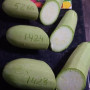 Регги F1 (INX 1424 F1) семена кабачка (Innova Seeds)