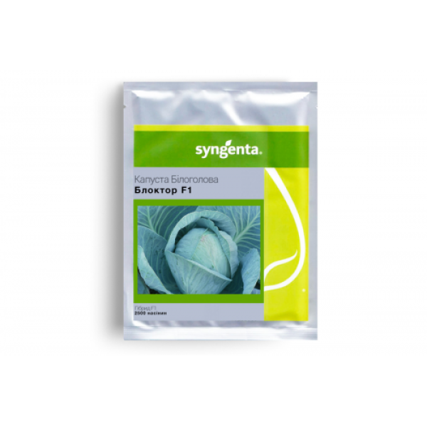 Блоктор F1 насіння капусти білоголової (Syngenta)