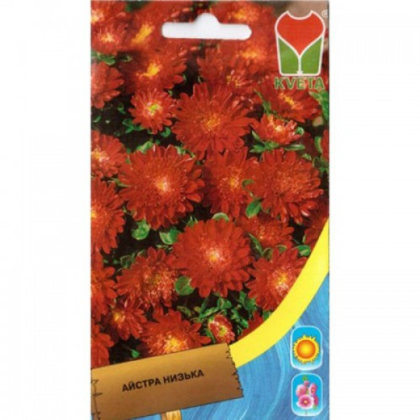 Айстра карликова червона (Red) насіння (Moravoseed)