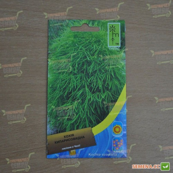 Кохія кипарисовидна насіння (Moravoseed)