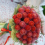 Полуничне поле насіння гомфрени (Hem Zaden)