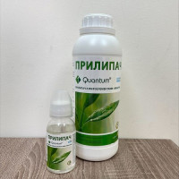 Квантум прилипач (Квантум)