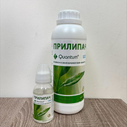 Квантум прилипач (Квантум)