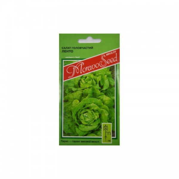 Ленто семян салата тип Маслянистый (Moravoseed)