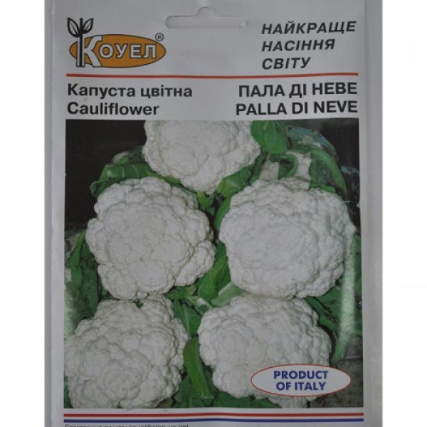 Палла ді Неве насіння капусти цвітної (SAIS)