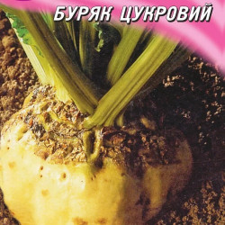 Цукрова насіння буряку цукрового (Геліос)