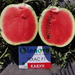 Техас F1 семян арбуза раннего (Innova Seeds)