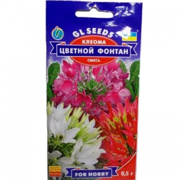 Кольоровий фонтан насіння клеоми (GL Seeds)