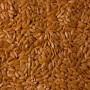 Везунчик F1 семена огурца партенокарпического (Lucky Seed)