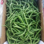 Бурмен семена фасоли спаржевой (LibraSeeds)