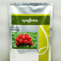 Філіпар F1 насіння редиски (Syngenta)