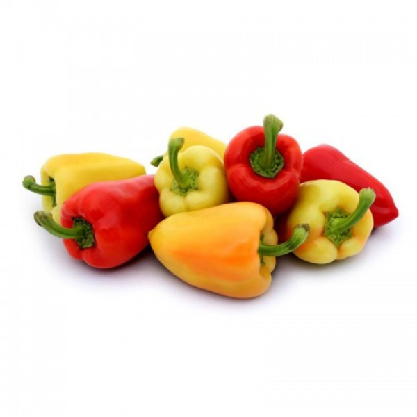 Яника F1 семян перца сладкого (Kitano Seeds)