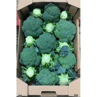 Самоа F1 насіння капусти броколі (Cora Seeds)