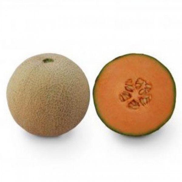 КС 7049 F1 семена дыни (Kitano Seeds)