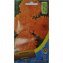 Календула помаранчева (orange) насіння (Moravoseed)