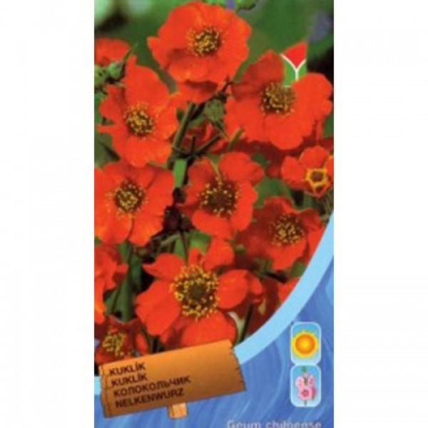 Дзвоник чилійський помаранчевий (orange) насіння (Moravoseed)