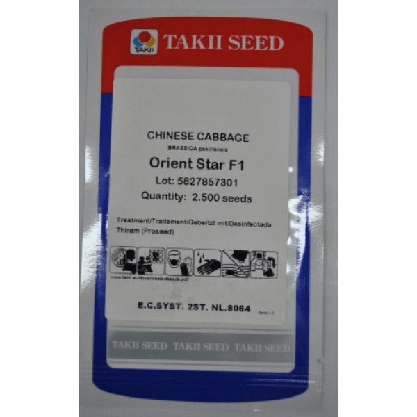 Орієнт Стар F1 насіння капусти пекінської (Takii Seeds)