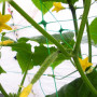 Сетка обойная для вьющихся PLANT NET 8 г/м.кв 15*17см 1,7м (Bradas)
