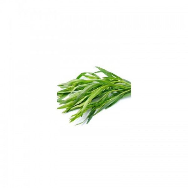 Байкал насіння тархуна (GL Seeds)