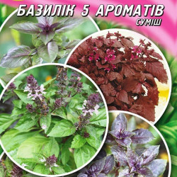 Базилік суміш 5 ароматів насіння (Геліос)