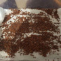 Брокколи семена микрозеленые (Agrocity)