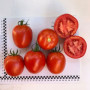 Энигма F1 семена помидора индетерминантного (Lark Seeds)