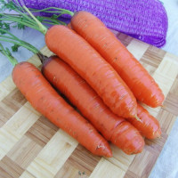 Кортина F1 семян моркови (Moravoseed)