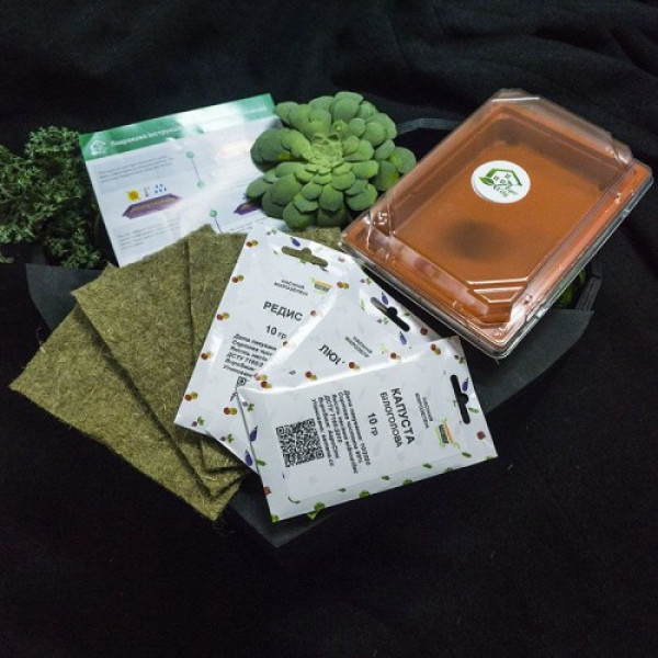 Новачок (3 врожаї) набір для вирощування мікрозелені (Agrocity)