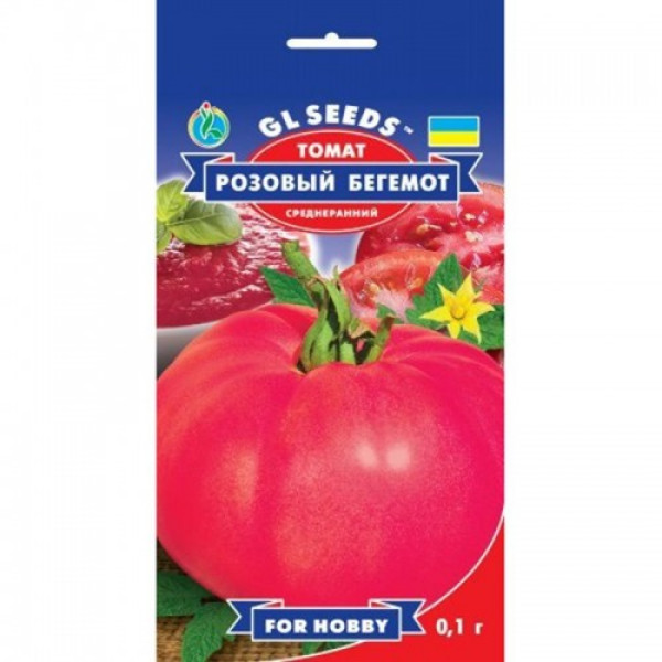 Розовый бегемот семян помидора индетерминантного (GL Seeds)