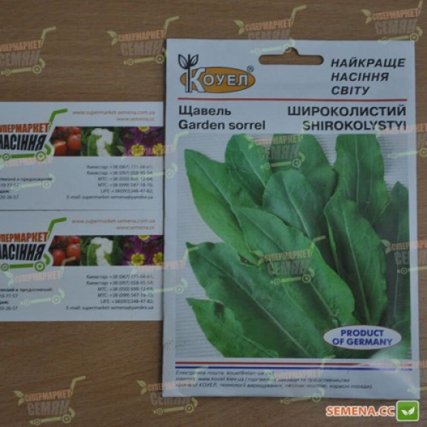 Широколистные семена щавеля (Satimex)