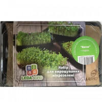 Веган набір для вирощування мікрозелені (World of Seeds)