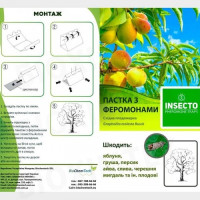 Восточная плодожорка феромонная ловушка (БИОхимтех)